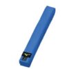 ceinture judo rb mizuno bleue
