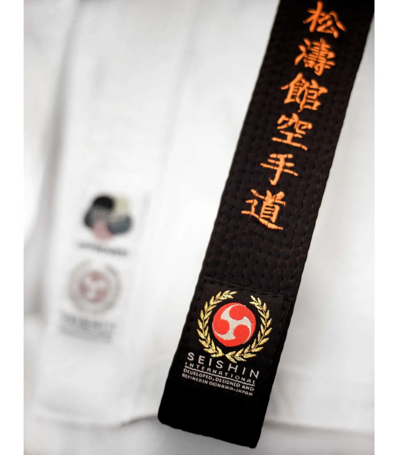 Seishin International