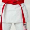Seishin International