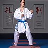 Karate-Gi