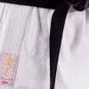 Karate-Gi
