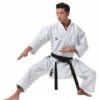 Karate-Gi