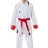 Tokaido Kumite Master