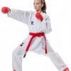 Tokaido Kumite Master