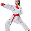 Tokaido Kumite Master