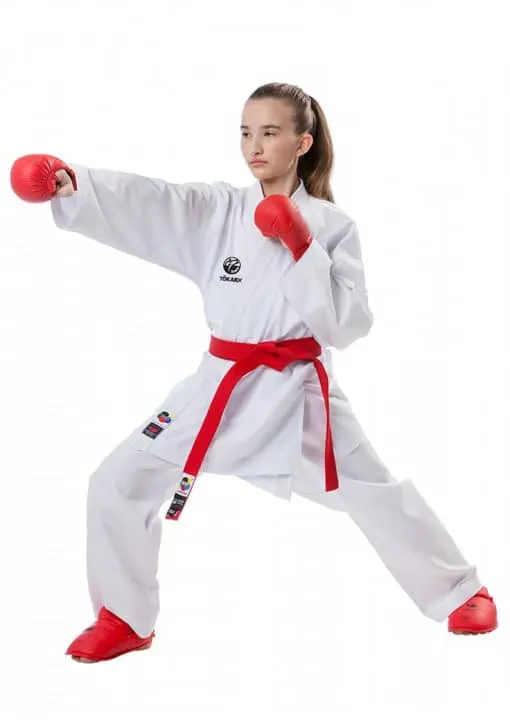 Tokaido Kumite Master