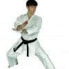Kimono Hirota PINACK til Kata - specialfremstillet 2 Kimono Hirota PINACK til Kata - lavet efter mål karategi
