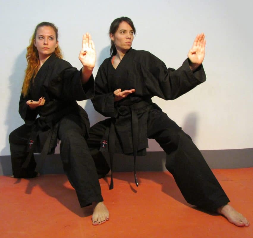 Karate-gi