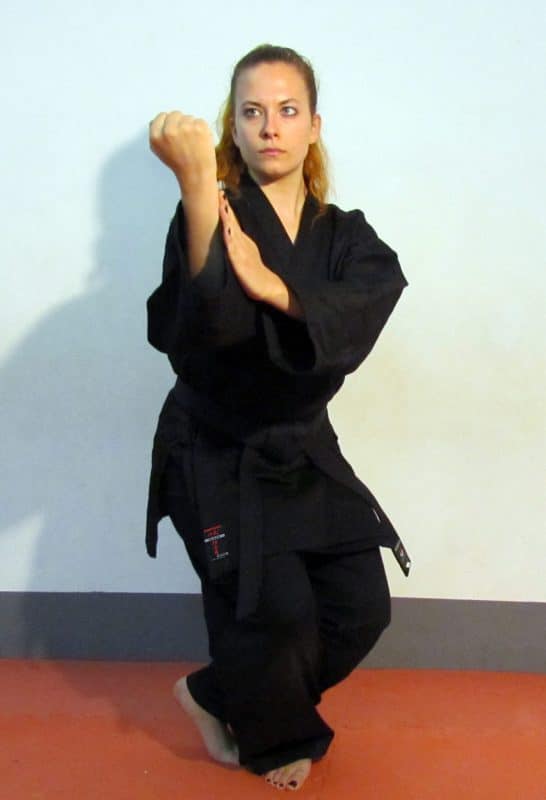 Karate-gi