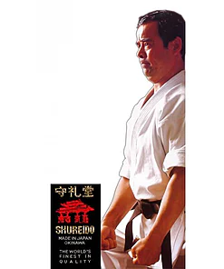 Karate-Gi