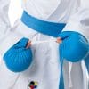 Tokaido Kumite Master