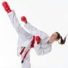 Tokaido Kumite Master