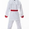 Tokaido Kumite Master