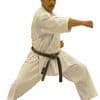 Kimono Shureido Sempai Tournament TK11 - Hvid-gyaku-tsuki