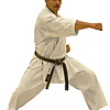 Kimono Shureido Sempai Tournament TK11 - Hvid-gyaku-tsuki