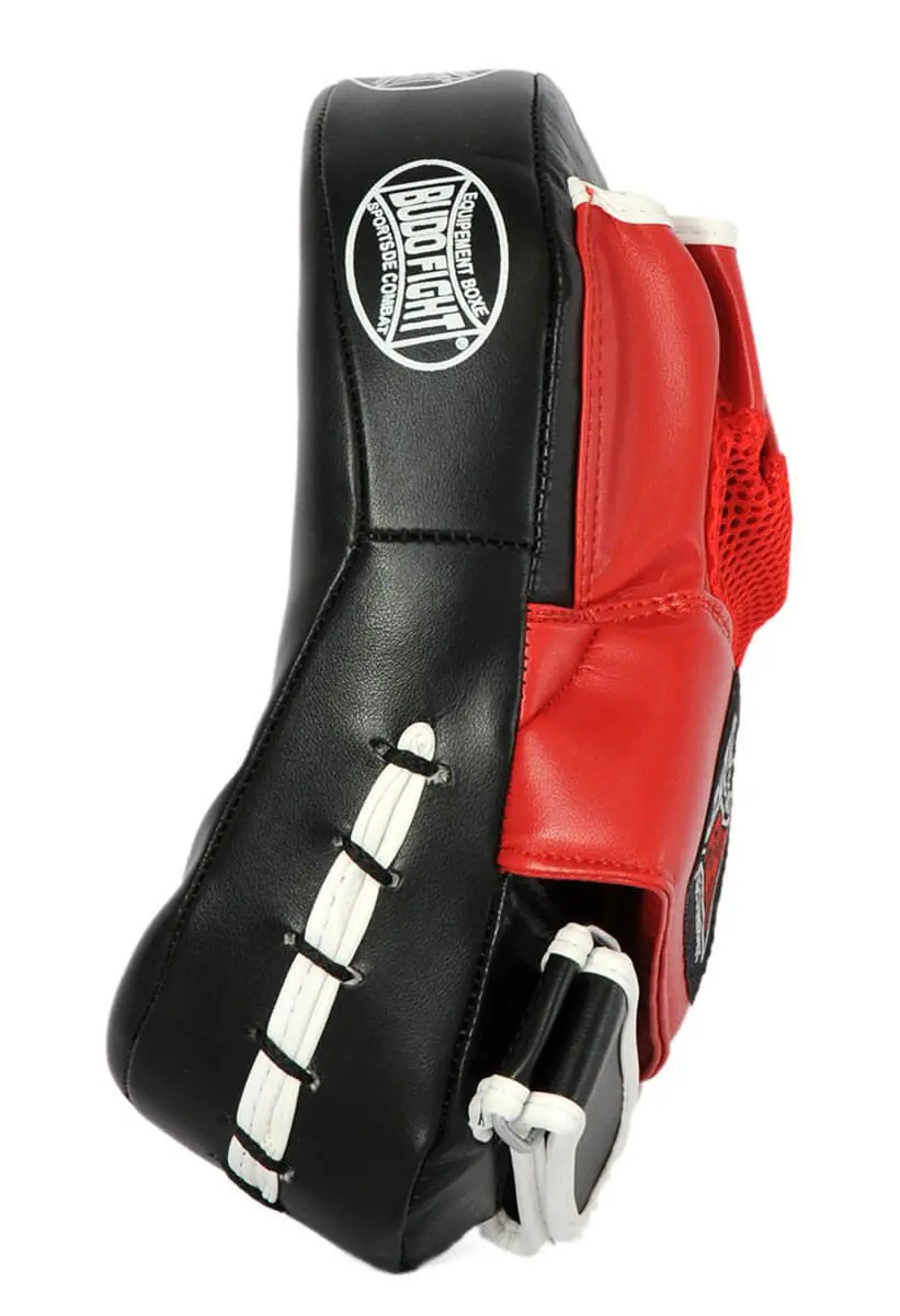 Budo Fight.