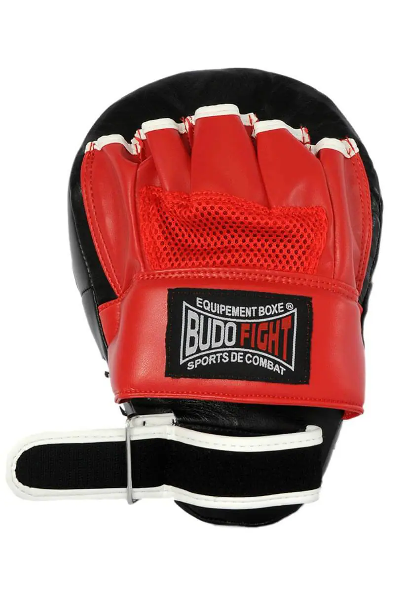 Budo Fight