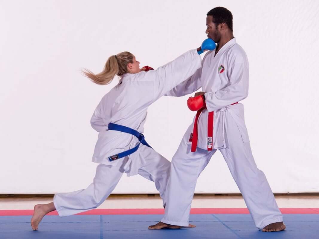 Karate-gi