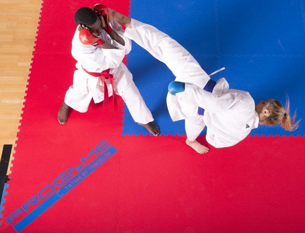 Karate-gi